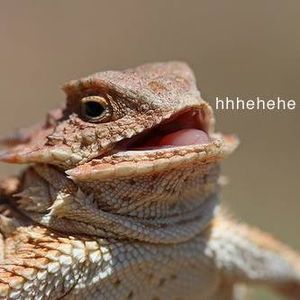 Meet your Posher, Gordon